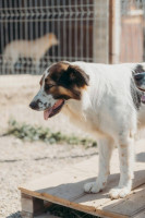 /album/220/whatsapp-image-2026-01-14-at-22-07-12-jpeg/